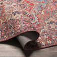 Iris Rug - Vintage Oriental Boho - IRS2310 - Bright Red - Sizes Available
