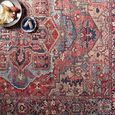 Iris Rug - Vintage Oriental Boho - IRS2310 - Bright Red - Sizes Available
