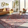 Iris Rug - Vintage Oriental Boho - IRS2310 - Bright Red - Sizes Available