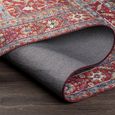 Iris Rug - Vintage Oriental Boho - IRS2316 - Bright Red - Sizes Available
