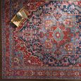 Iris Rug - Vintage Oriental Boho - IRS2316 - Bright Red - Sizes Available