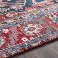 Iris Rug - Vintage Oriental Boho - IRS2316 - Bright Red - Sizes Available