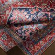 Iris Rug - Vintage Oriental Boho - IRS2316 - Bright Red - Sizes Available