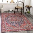 Iris Rug - Vintage Oriental Boho - IRS2316 - Bright Red - Sizes Available