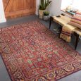 Iris Rug - Vintage Oriental Boho - IRS2332 - Burnt Orange - Sizes Available