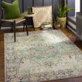 Iris Rug - Vintage Oriental Boho - IRS2361 - Green - Sizes Available