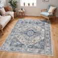 Jolie Rug - Oriental Vintage - JLO2305 - Blue - Sizes Available