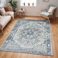 Jolie Rug - Oriental Vintage - JLO2308 - Grey - Sizes Available