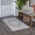 Lustro Rug - Oriental Vintage - LSR2336 - Grey - Sizes Available