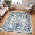 Monte Carlo Rug - Oriental Vintage - MNC2313 - Blue - Sizes Available