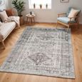 Monte Carlo Rug - Oriental Vintage - MNC2314 - Grey - Sizes Available