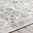 Monte Carlo Rug - Oriental Vintage - MNC2319 - Grey - Sizes Available