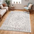 Monte Carlo Rug - Oriental Vintage - MNC2319 - Grey - Sizes Available