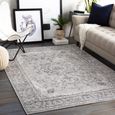 Monte Carlo Rug - Oriental Vintage - MNC2321 - Grey - 200cm x 275cm