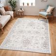Monte Carlo Rug - Oriental Vintage - MNC2331 - Grey - Sizes Available