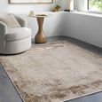 Myrtle Avenue Rug - Abstract Modern Marble - GAMY2303 - Brown - Sizes Available