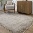 Myrtle Avenue Rug - Abstract Modern Marble - GAMY2303 - Brown - Sizes Available