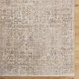 Myrtle Avenue Rug - Vintage Traditional Oriental Boho - GAMY2300 - Brown - Sizes Available
