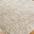 Myrtle Avenue Rug - Vintage Traditional Oriental Boho - GAMY2300 - Brown - Sizes Available