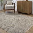Myrtle Avenue Rug - Vintage Traditional Oriental Boho - GAMY2300 - Brown - Sizes Available