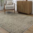 Myrtle Avenue Rug - Vintage Traditional Oriental Boho - GAMY2301 - Green - Sizes Available