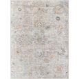 Olympic Rug - Vintage Traditional Oriental Boho - PNWOL2301 - Light Beige - Sizes Available