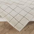 Cascade Rug - Scandi High Pile - PNWCS2305 - Ivory - Sizes Available