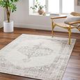 Olympic Rug - Vintage Traditional Oriental Boho - PNWOL2300 - Cream - Sizes Available