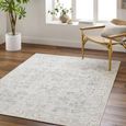 Olympic Rug - Vintage Traditional Oriental Boho - PNWOL2303 - Grey - Sizes Available
