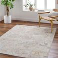 Olympic Rug - Vintage Traditional Oriental Boho - PNWOL2301 - Light Beige - Sizes Available