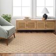 Mirage Rug - Jute Look Checkered - MGE2310 - Brown - Sizes Available