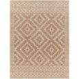 Tuareg Rug - Jute - TRG2351 - Brown - Sizes Available