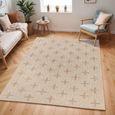 Tuareg Rug - Jute - TRG2357 - Beige - Sizes Available