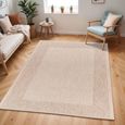 Tuareg Rug - Jute - TRG2365 - Beige - Sizes Available