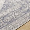 Tuareg Rug - TRG2344 - Blue - Sizes Available