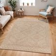 Tuareg Rug - Jute - TRG2355 - Brown - Sizes Available