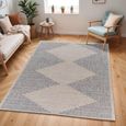 Tuareg Rug - TRG2360 - Ivory & Blue - Sizes Available