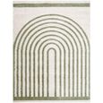 Fossay Rug - Machine Washable Modern Shaggy - FSG2312 - Ivory & Green - Sizes Available
