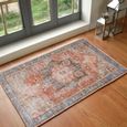 Amelie Rug - Machine Washable Vintage - AML2309 - Red - Sizes Available