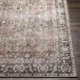 Colin Rug - Machine Washable Vintage - CLN2300 - Brown - Sizes Available