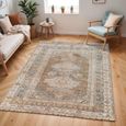 Colin Rug - Machine Washable Vintage - CLN2303 - Brown - Sizes Available