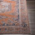 Colin Rug - Machine Washable Vintage - CLN2306 - Orange - Sizes Available