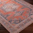 Colin Rug - Machine Washable Vintage - CLN2306 - Orange - Sizes Available
