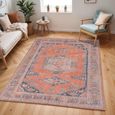 Colin Rug - Machine Washable Vintage - CLN2306 - Orange - Sizes Available