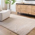 Fossay Rug - Machine Washable Modern Shaggy - FSG2332 - Beige - Sizes Available