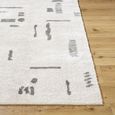Fossay Rug - Machine Washable Modern Shaggy - FSG2303 - Beige & Charcoal - Sizes Available
