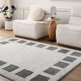Fossay Rug - Machine Washable Modern Shaggy - FSG2316 - Ivory & Charcoal - Sizes Available