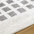 Fossay Rug - Machine Washable Modern Shaggy - FSG2321 - Ivory & Charcoal - Sizes Available