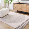 Fossay Rug - Machine Washable Modern Shaggy - FSG2305 - Ivory & Dark Brown - Sizes Available
