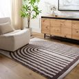 Fossay Rug - Machine Washable Modern Shaggy - FSG2310 - Ivory & Dark Brown - Sizes Available